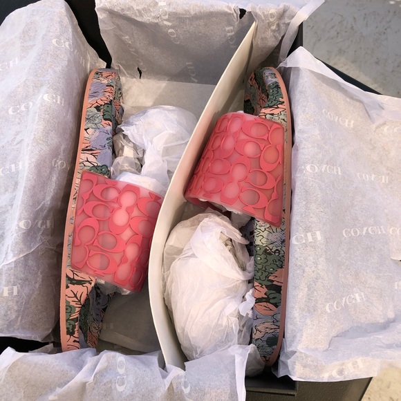 Coach Slides - Picture 7 of 7